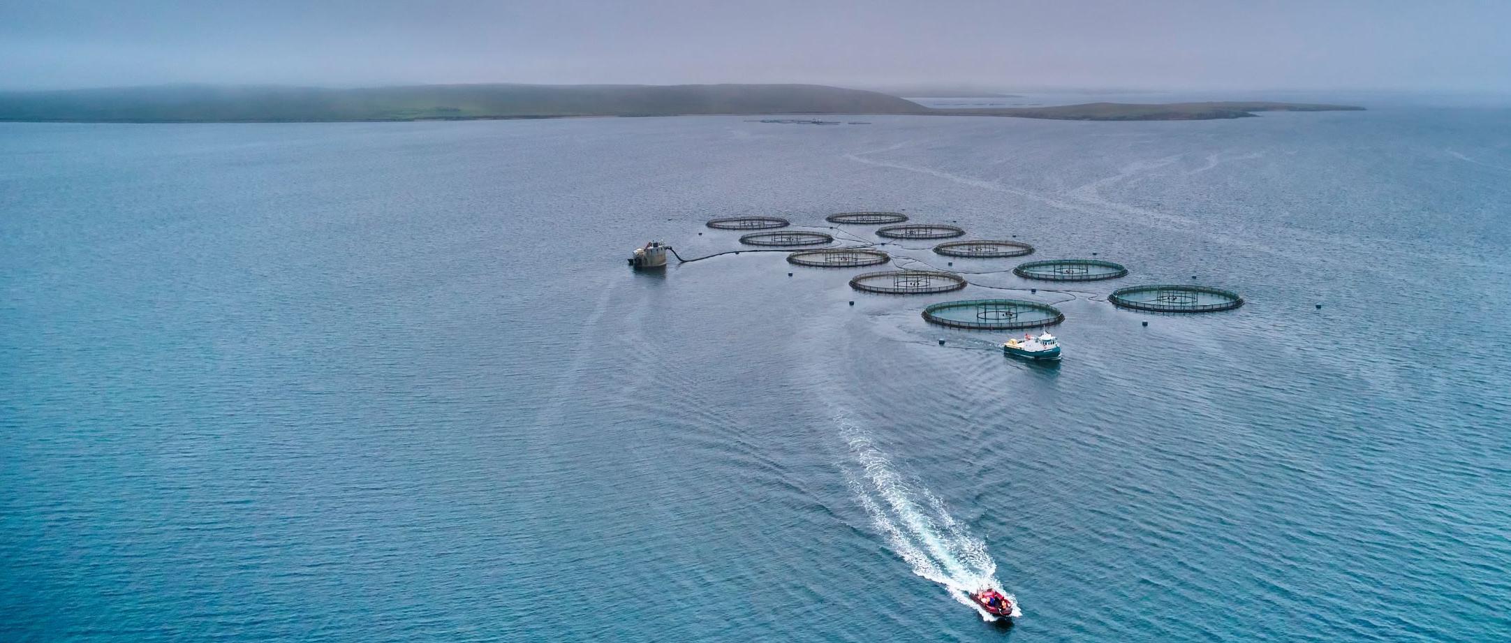 Boat in the water with salmon cages