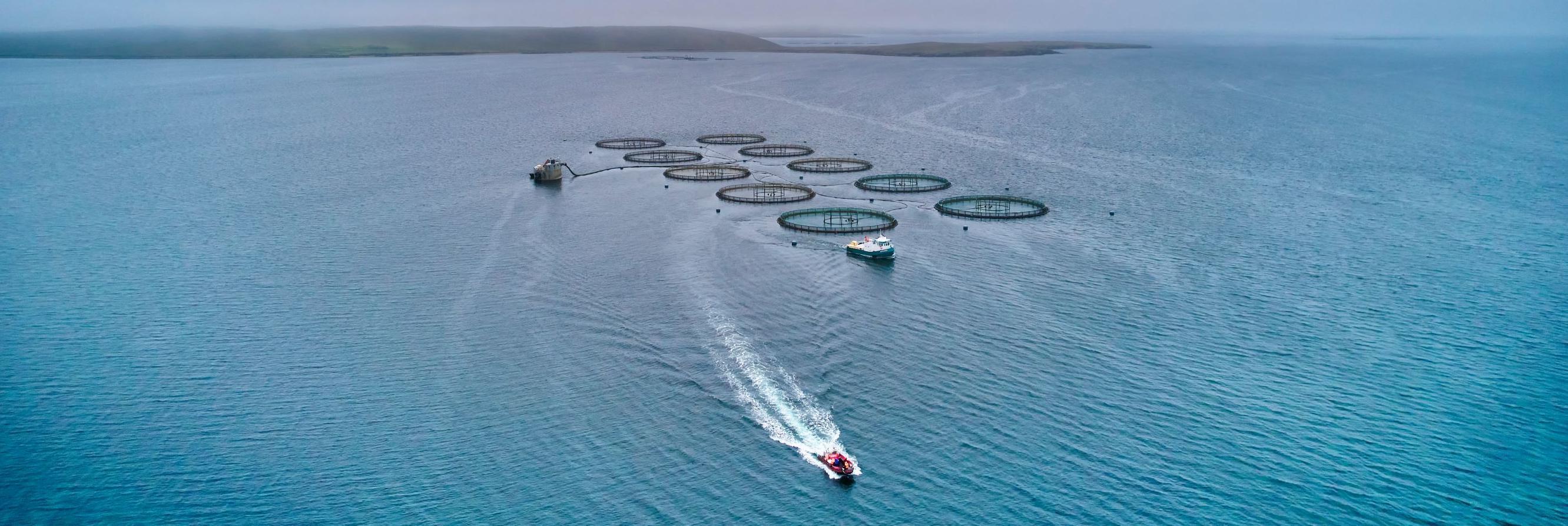 Boat in the water with salmon cages