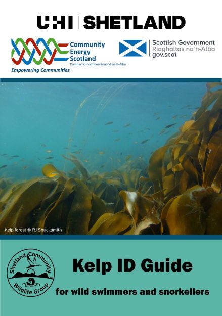 Kelp ID Guide front cover