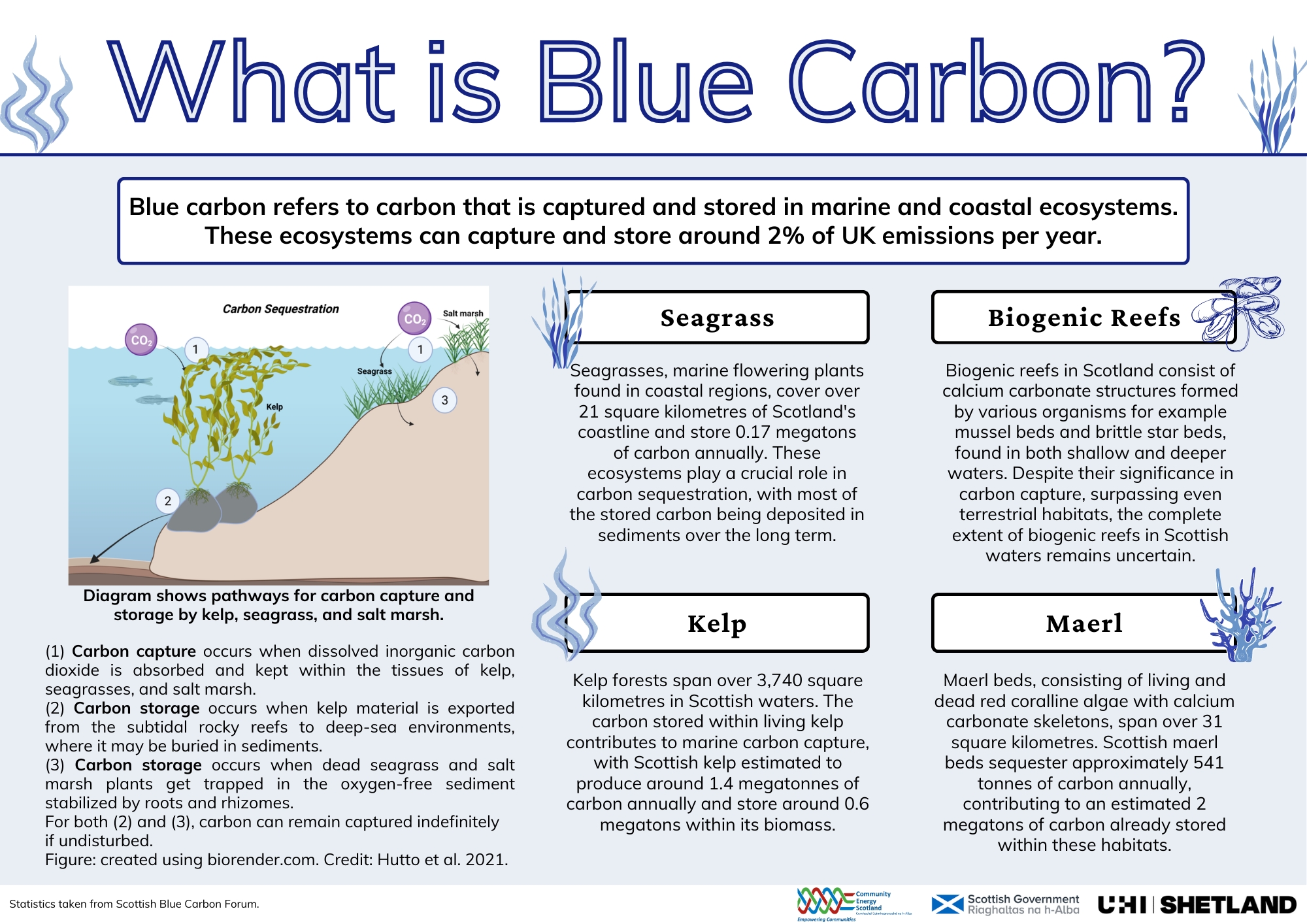 Infographic on Blue Carbon